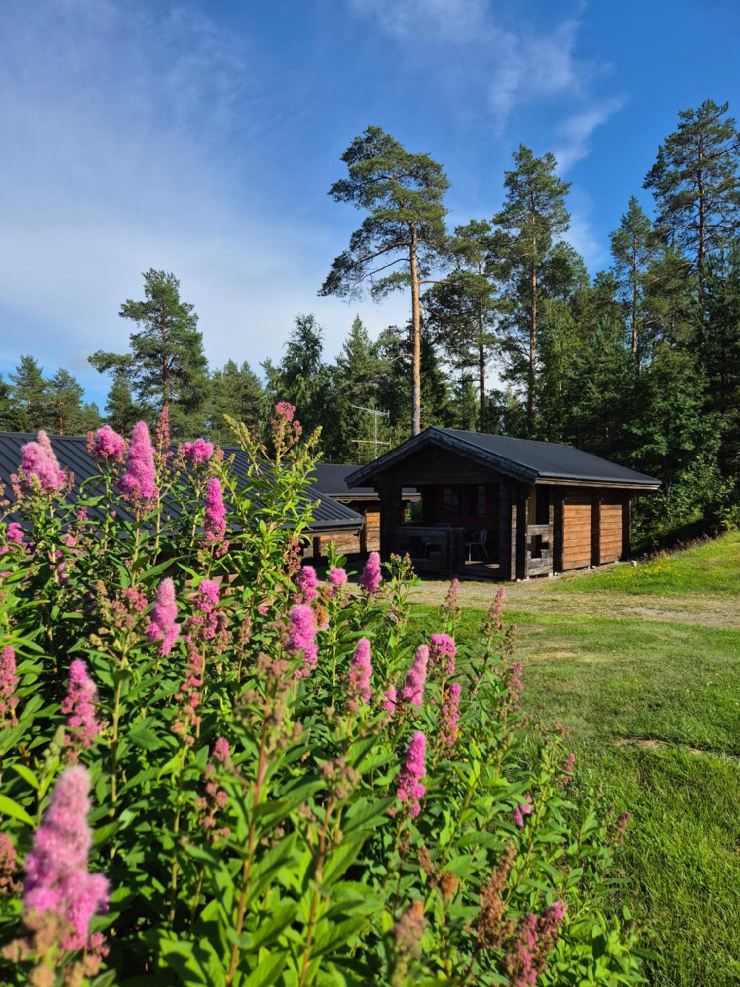 Lufta Camping & Restaurang Ånäset 외부 사진