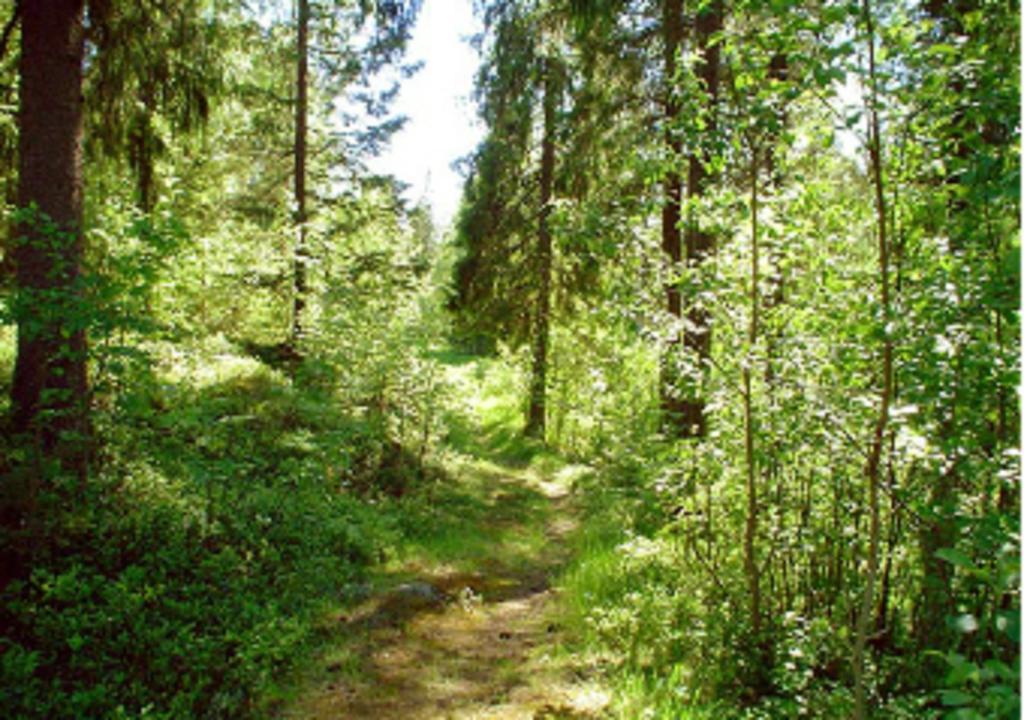 Lufta Camping & Restaurang Ånäset 외부 사진